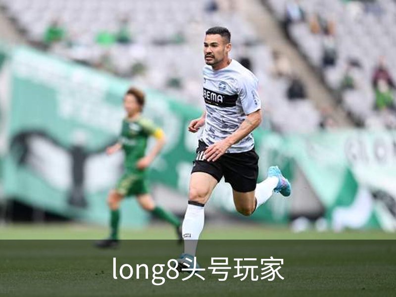 long8头号玩家概况